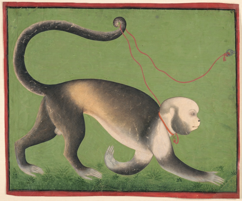 A_Monumental_Portrait_of_a_Monkey